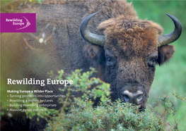 Rewilding Europe