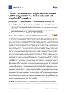 Terraced Iron Formations: Biogeochemical Processes Contributing to Microbial Biomineralization and Microfossil Preservation