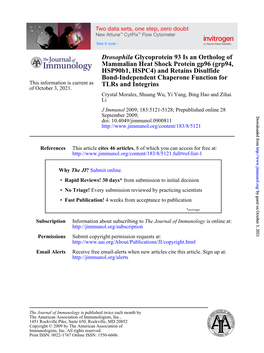 Grp94, Mammalian Heat Shock Pr