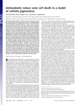 Antioxidants Reduce Cone Cell Death in a Model of Retinitis Pigmentosa