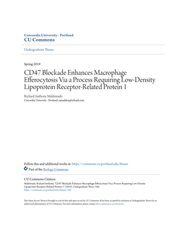 CD47 Blockade Enhances Macrophage Efferocytosis Via A