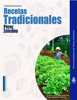 Recetario Comidas Tradicionales