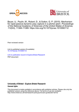 Mechanism for Rapid Passive-Dynamic Prey Capture in a Pitcher Plant