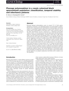 Plumage Polymorphism in a Newly Colonized Black Sparrowhawk Population: Classiﬁcation, Temporal Stability and Inheritance Patterns A