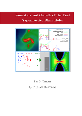 Formation and Growth of the First Supermassive Black Holes