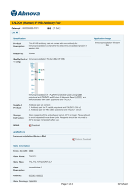 IP-WB Antibody Pair