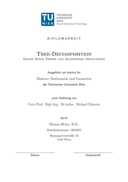 Tree-Decomposition Graph Minor Theory and Algorithmic Implications