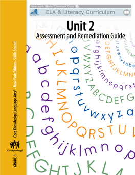 Phonics Progress Monitoring: Sound-Spellings Word Recognition Assessments