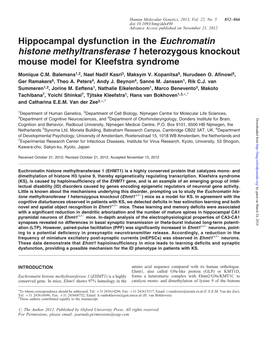 Hippocampal Dysfunction in the Euchromatin Histone Methyltransferase 1 Heterozygous Knockout Mouse Model for Kleefstra Syndrome