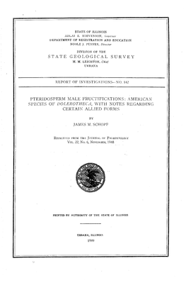 Male Fructifications : American Species of Dolerotheca, 1Vjti-I Notes Regarding Certain Allied I'orms