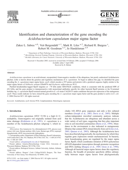 Identification and Characterization of the Gene Encoding the Acidobacterium Capsulatum Major Sigma Factor