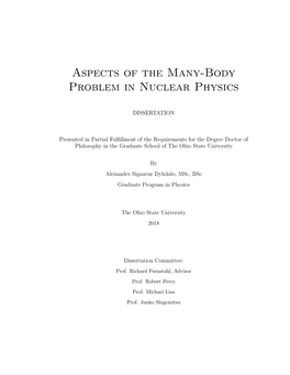 Aspects of the Many-Body Problem in Nuclear Physics