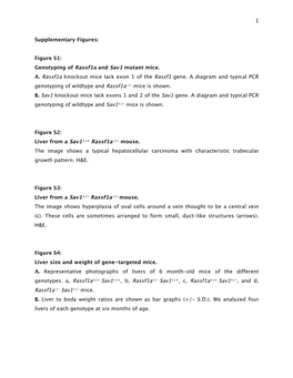 Fig S1 Genotyping