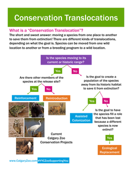 Conservation Translocations