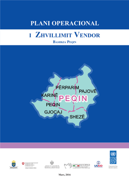 PLANI OPERACIONAL I Zhvillimit Vendor Bashkia Peqin