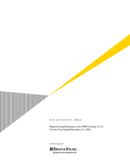 Reports Issued Pursuant to the OMB Circular A-133 for the Year Ended December 31, 2008
