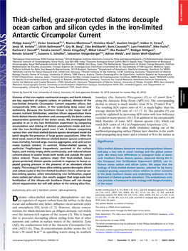 Thick-Shelled, Grazer-Protected Diatoms Decouple Ocean Carbon