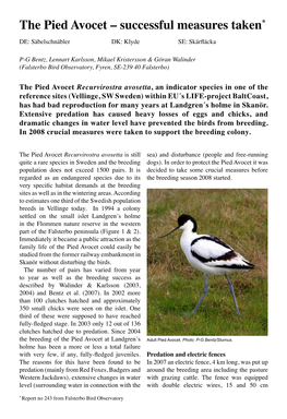 The Pied Avocet – Successful Measures Taken* DE: Säbelschnäbler DK: Klyde SE: Skärfläcka