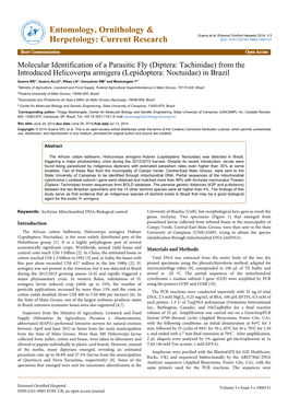 Molecular Identification of a Parasitic