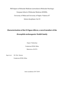 Characterization of the E3 Ligase Dhecw, a Novel Member of The