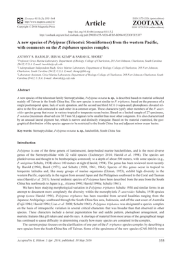 A New Species of Polyipnus (Teleostei: Stomiiformes) from the Western Pacific, with Comments on the P