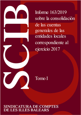 Tomo I Informe 163/2019 Sobre La Consolidación De Las Cuentas