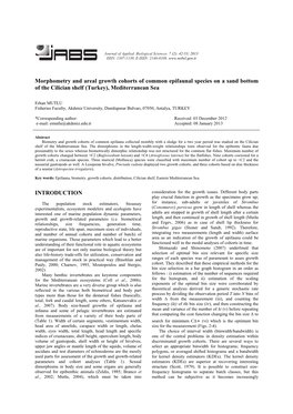 Morphometry and Areal Growth Cohorts of Common Epifaunal Species on a Sand Bottom of the Cilician Shelf (Turkey), Mediterranean Sea