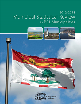 Municipal Statistical Review 2012 2013