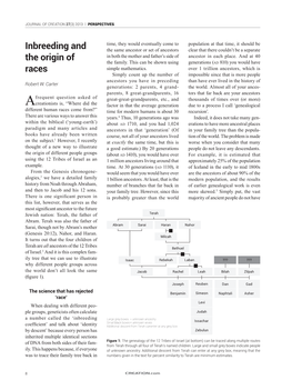 Inbreeding and the Origin of Races