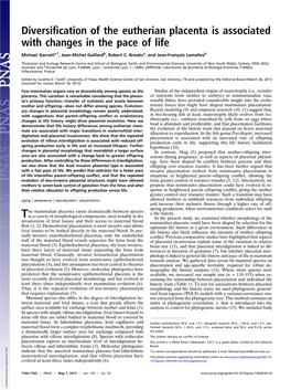 Diversification of the Eutherian Placenta Is Associated With