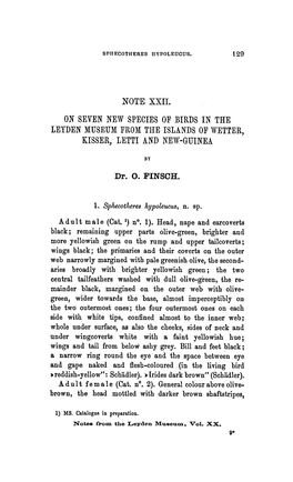 Of Wetter, Kisser, Hypoleucus, Schädler)