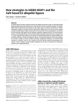 New Strategies to Inhibit KEAP1 and the Cul3-Based E3 Ubiquitin Ligases