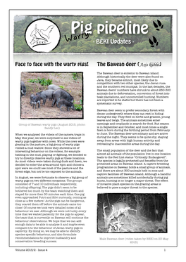 BEKI Newsletter Vol. 2 Issue 4