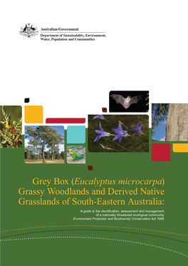 Grey Box (Eucalyptus Microcarpa) Grassy Woodlands and Derived Native Grasslands of South-Eastern Australia