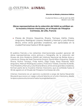 Obras Representativas De La Colección Del MAM Se Exhiben En La Muestra Intenso Mexicano, En El Musée De L’Hospice Comtesse, De Lille, Francia