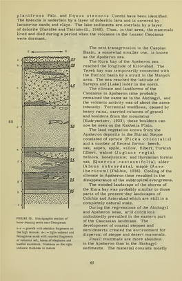 The Mammals of the Caucasus