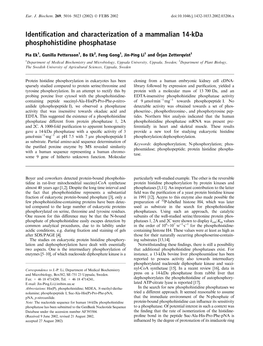 Identification and Characterization of a Mammalian 14-Kda