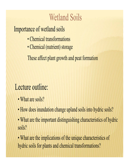 Wetland Soils Importance of Wetland Soils • Chemical Transformations • Chemical (Nutrient) Storage These Affect Plant Growth and Peat Formation