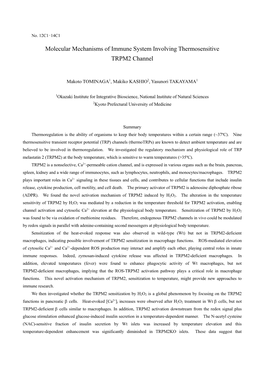 Molecular Mechanisms of Immune System Involving Thermosensitive TRPM2 Channel