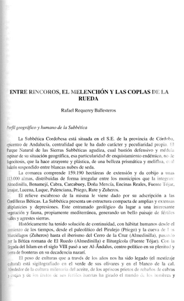 Entre Rincoros, El Melenchón Y Las Coplas De La Rueda