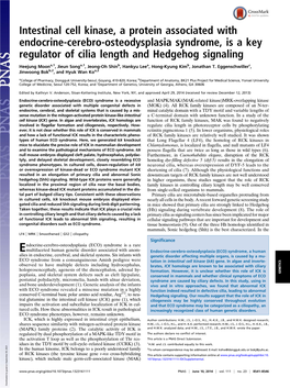 Intestinal Cell Kinase, a Protein Associated with Endocrine-Cerebro-Osteodysplasia Syndrome, Is a Key Regulator of Cilia Length and Hedgehog Signaling
