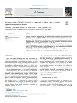 The Expression of Bradykinin and Its Receptors in Spinal Cord Ischemia