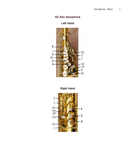 Saxophone - Basic 1