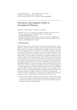 Turbulence and Magnetic Fields in Astrophysical Plasmas