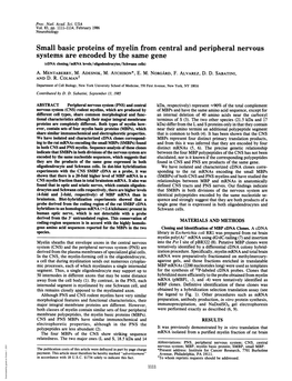 Small Basic Proteins of Myelin from Central and Peripheral Nervous Systems Are Encoded by the Same Gene (Cdna Cloning/Mrna Levels/Oligodendrocytes/Schwann Cells) A