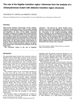 The Role of the Flagellar Transition Region: Inferences from the Analysis of a Chlamydomonas Mutant with Defective Transition Region Structures