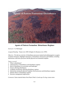 Agents of Pattern Formation: Disturbance Regimes