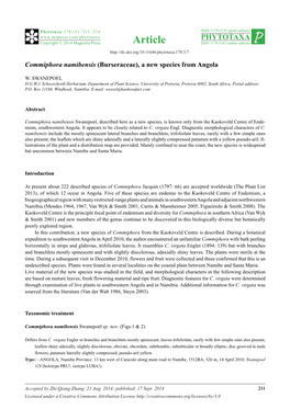 Commiphora Namibensis (Burseraceae), a New Species from Angola