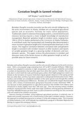 Gestation Length in Farmed Reindeer