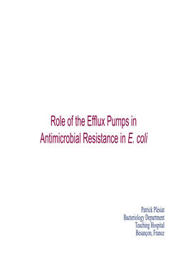 Role of the Efflux Pumps in Antimicrobial Resistance in E